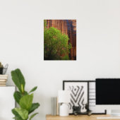 USA, Utah, Paria Canyon- Vermillion Cliffs Poster (Heimbüro)