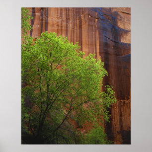 USA, Utah, Paria Canyon- Vermillion Cliffs Poster