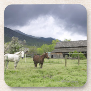 USA, Utah, Pferde auf Ranch Untersetzer