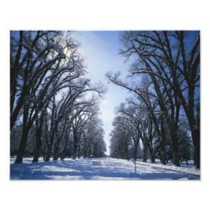 USA, Utah, Salt Lake City, Liberty Park, Fotodruck