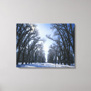 USA, Utah, Salt Lake City, Liberty Park, Leinwanddruck