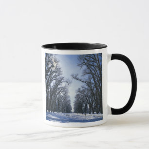 USA, Utah, Salt Lake City, Liberty Park, Tasse