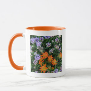 USA, Utah, Uinta-Wasatch-Cache National Forest 3 Tasse
