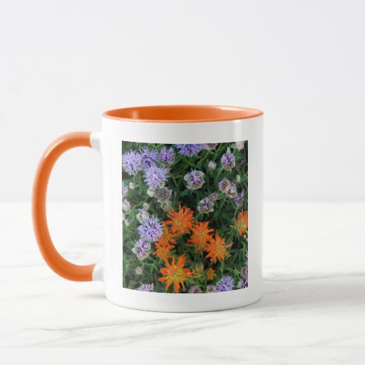 USA, Utah, Uinta-Wasatch-Cache National Forest 3 Tasse (Links)