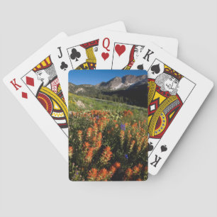 USA, Utah, Uinta-Wasatch-Cache National Forest Spielkarten