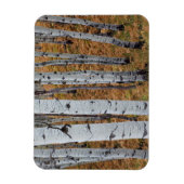 USA, Utah, Uinta-Wasatch-Cache Nationalforst 2 Magnet (Vertikal)