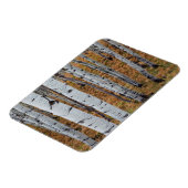 USA, Utah, Uinta-Wasatch-Cache Nationalforst 2 Magnet (Linke Seite)