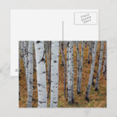 USA, Utah, Uinta-Wasatch-Cache Nationalforst 2 Postkarte (Vorne/Hinten)