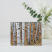 USA, Utah, Uinta-Wasatch-Cache Nationalforst 2 Postkarte (Stehend Vorderseite)