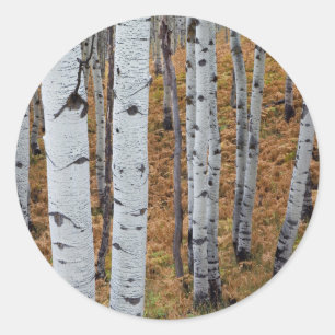 USA, Utah, Uinta-Wasatch-Cache Nationalforst 2 Runder Aufkleber