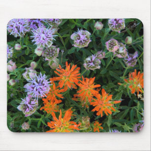 USA, Utah, Uinta-Wasatch-Cache Nationalforst 3 Mousepad