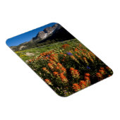USA, Utah, Uinta-Wasatch-Cache Nationalforst Magnet (Rechte Seite)