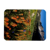 USA, Utah, Uinta-Wasatch-Cache Nationalforst Magnet (Horizontal)