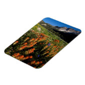 USA, Utah, Uinta-Wasatch-Cache Nationalforst Magnet (Linke Seite)