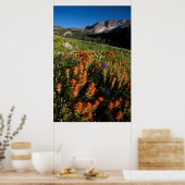 USA, Utah, Uinta-Wasatch-Cache Nationalforst Poster (Küche)