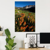USA, Utah, Uinta-Wasatch-Cache Nationalforst Poster (Heimbüro)
