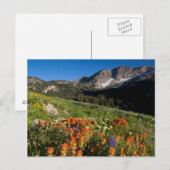 USA, Utah, Uinta-Wasatch-Cache Nationalforst Postkarte (Vorne/Hinten)