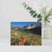 USA, Utah, Uinta-Wasatch-Cache Nationalforst Postkarte (Stehend Vorderseite)