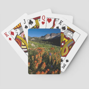 USA, Utah, Uinta-Wasatch-Cache Nationalforst Spielkarten