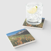 USA, Utah, Uinta-Wasatch-Cache Nationalforst Steinuntersetzer (Seitenansicht)