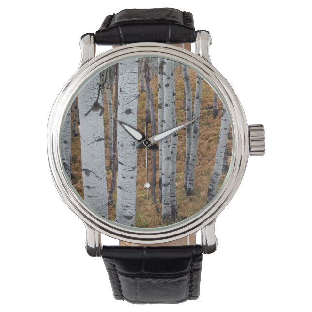 USA, Utah, Uinta-Wasatch-Cache, Nationalwald 2 Armbanduhr (Vorderseite)