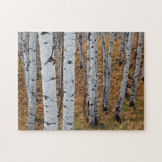 USA, Utah, Uinta-Wasatch-Cache, Nationalwald 2 Puzzle (Horizontal)