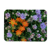 USA, Utah, Uinta-Wasatch-Cache, Nationalwald 3 Magnet (Horizontal)