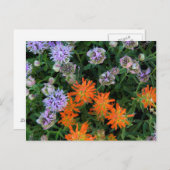 USA, Utah, Uinta-Wasatch-Cache, Nationalwald 3 Postkarte (Vorne/Hinten)