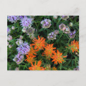 USA, Utah, Uinta-Wasatch-Cache, Nationalwald 3 Postkarte (Vorderseite)