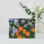 USA, Utah, Uinta-Wasatch-Cache, Nationalwald 3 Postkarte (Stehend Vorderseite)