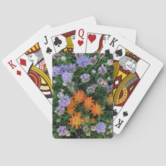USA, Utah, Uinta-Wasatch-Cache, Nationalwald 3 Spielkarten (Rückseite)