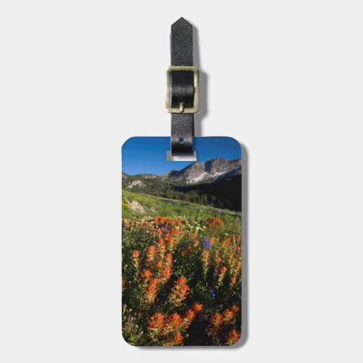 USA, Utah, Uinta-Wasatch-Cache-Nationalwald Gepäckanhänger (Vorderseite vertikal)
