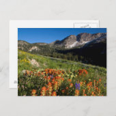 USA, Utah, Uinta-Wasatch-Cache, Nationalwald Postkarte (Vorne/Hinten)
