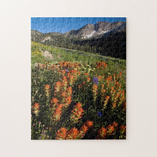 USA, Utah, Uinta-Wasatch-Cache-Nationalwald Puzzle (Vertikal)