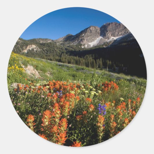 USA, Utah, Uinta-Wasatch-Cache, Nationalwald Runder Aufkleber (Vorderseite)