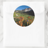 USA, Utah, Uinta-Wasatch-Cache, Nationalwald Runder Aufkleber (Tasche)