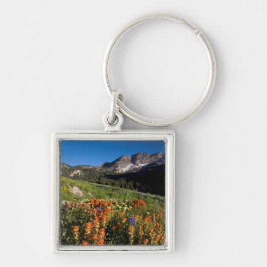 USA, Utah, Uinta-Wasatch-Cache-Nationalwald Schlüsselanhänger (Vorne)
