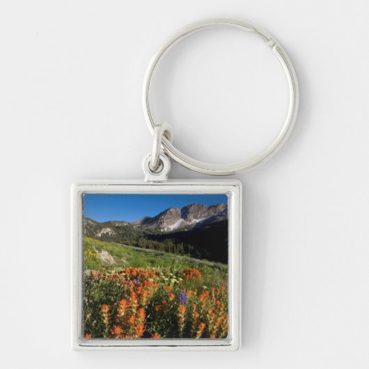 USA, Utah, Uinta-Wasatch-Cache-Nationalwald Schlüsselanhänger (Vorne)