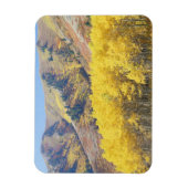 USA, Utah, Wasatch-Cache National Forest, Magnet (Vertikal)