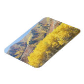 USA, Utah, Wasatch-Cache National Forest, Magnet (Linke Seite)