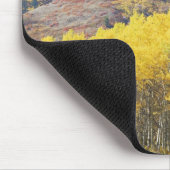 USA, Utah, Wasatch Cache National Forest, Mousepad (Ecke)