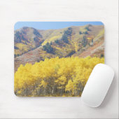 USA, Utah, Wasatch Cache National Forest, Mousepad (Mit Mouse)