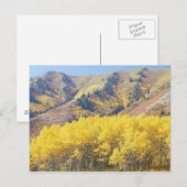 USA, Utah, Wasatch-Cache National Forest, Postkarte (Vorne/Hinten)