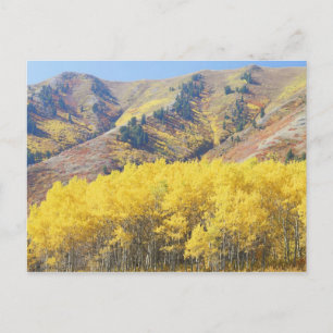 USA, Utah, Wasatch-Cache National Forest, Postkarte