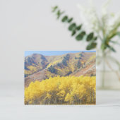 USA, Utah, Wasatch-Cache National Forest, Postkarte (Stehend Vorderseite)