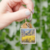 USA, Utah, Wasatch Cache National Forest, Schlüsselanhänger (Hand)