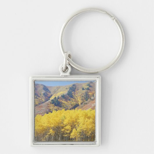 USA, Utah, Wasatch Cache National Forest, Schlüsselanhänger (Vorne)
