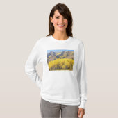 USA, Utah, Wasatch Cache National Forest, T-Shirt (Vorne ganz)