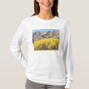 USA, Utah, Wasatch Cache National Forest, T-Shirt