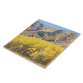 USA, Utah, Wasatch-Cache Nationalforst, Fliese (Seite)